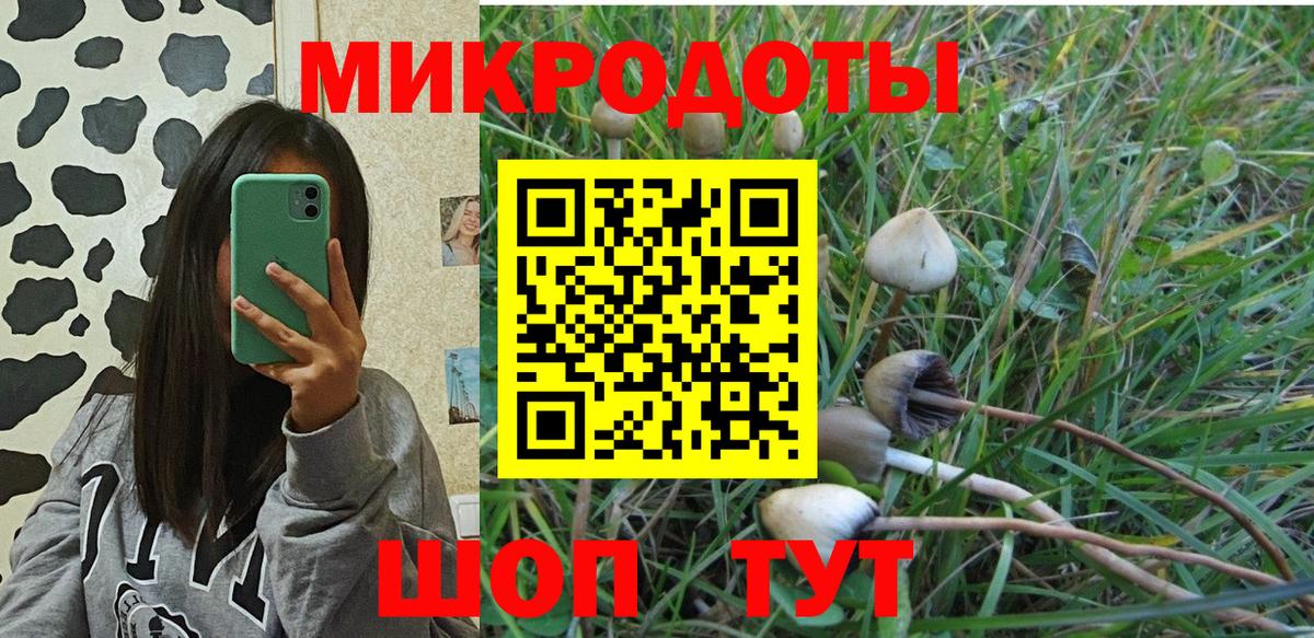 Галлюциногенные грибы ЛСД  Галлюциногенные грибы Magic Shrooms  Ялуторовск  Вход с VPN 