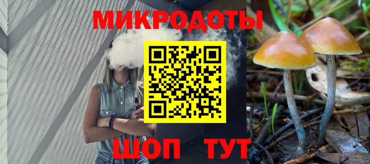 Псилоцибиновые грибы GOLDEN TEACHER Ялуторовск